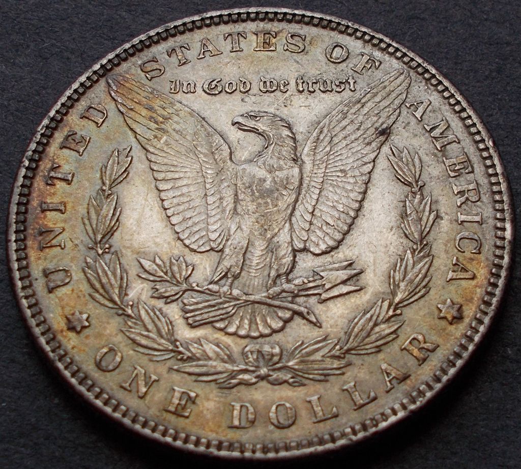 Cull-Bin-1885--Morgan